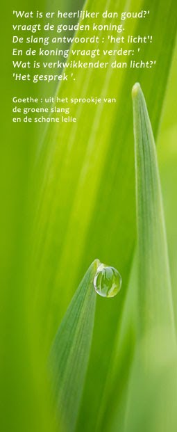 Afbeelding zonder ALT